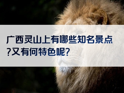 广西灵山上有哪些知名景点？又有何特色呢？