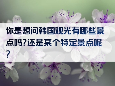 你是想问韩国观光有哪些景点吗？还是某个特定景点呢？