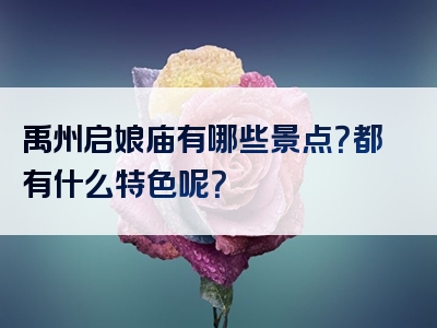 禹州启娘庙有哪些景点？都有什么特色呢？