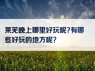 莱芜晚上哪里好玩呢？有哪些好玩的地方呢？