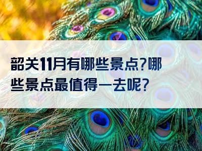 韶关11月有哪些景点？哪些景点最值得一去呢？