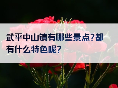 武平中山镇有哪些景点？都有什么特色呢？