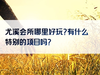 尤溪会所哪里好玩？有什么特别的项目吗？