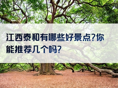 江西泰和有哪些好景点？你能推荐几个吗？