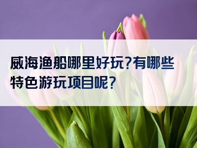 威海渔船哪里好玩？有哪些特色游玩项目呢？