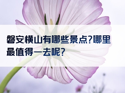 磐安横山有哪些景点？哪里最值得一去呢？