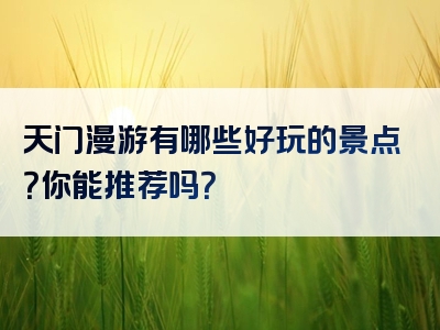 天门漫游有哪些好玩的景点？你能推荐吗？