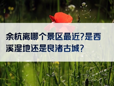 余杭离哪个景区最近？是西溪湿地还是良渚古城？