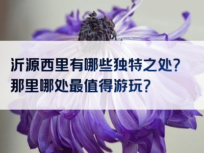 沂源西里有哪些独特之处？那里哪处最值得游玩？