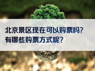 北京景区现在可以购票吗？有哪些购票方式呢？