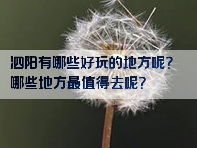 泗阳有哪些好玩的地方呢？哪些地方最值得去呢？