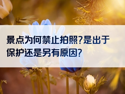 景点为何禁止拍照？是出于保护还是另有原因？