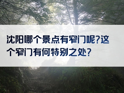 沈阳哪个景点有窄门呢？这个窄门有何特别之处？