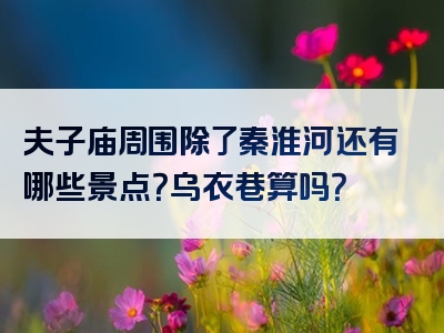 夫子庙周围除了秦淮河还有哪些景点？乌衣巷算吗？