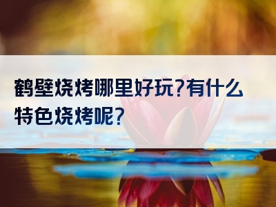 鹤壁烧烤哪里好玩？有什么特色烧烤呢？