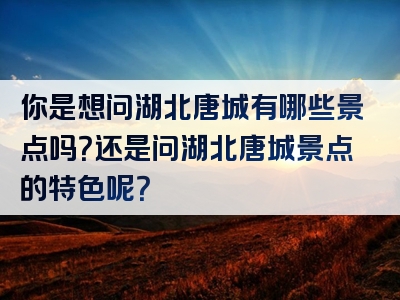 你是想问湖北唐城有哪些景点吗？还是问湖北唐城景点的特色呢？