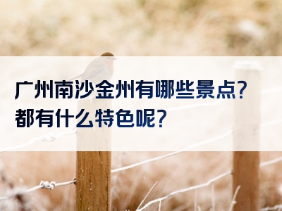 广州南沙金州有哪些景点？都有什么特色呢？