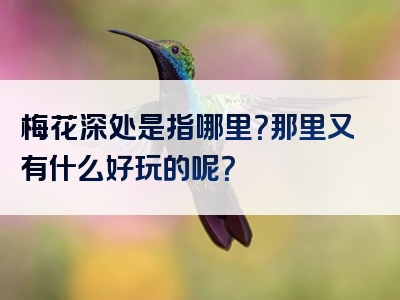 梅花深处是指哪里？那里又有什么好玩的呢？