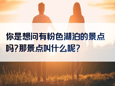 你是想问有粉色湖泊的景点吗？那景点叫什么呢？