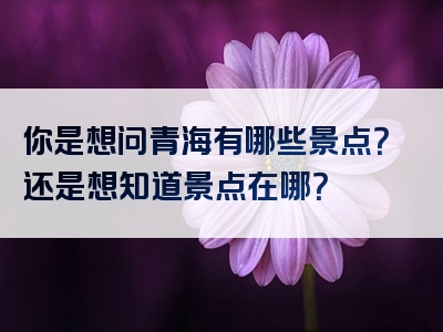 你是想问青海有哪些景点？还是想知道景点在哪？