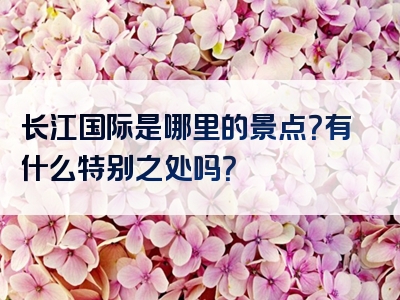 长江国际是哪里的景点？有什么特别之处吗？