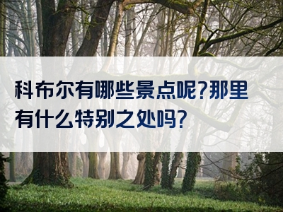 科布尔有哪些景点呢？那里有什么特别之处吗？