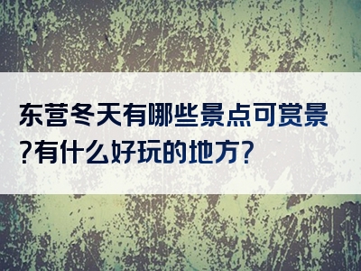 东营冬天有哪些景点可赏景？有什么好玩的地方？