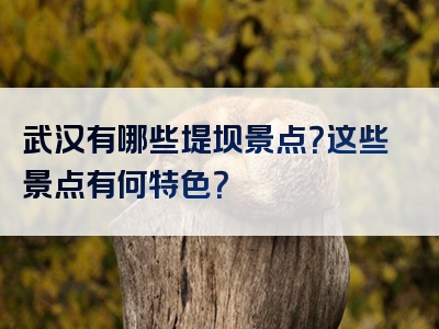 武汉有哪些堤坝景点？这些景点有何特色？