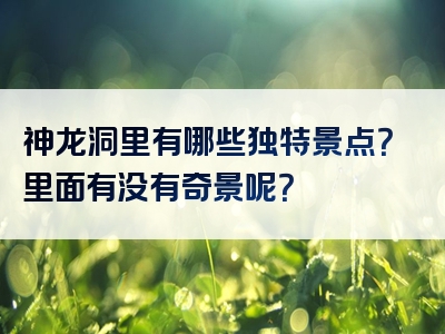 神龙洞里有哪些独特景点？里面有没有奇景呢？