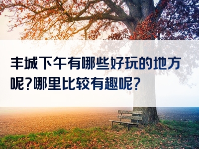 丰城下午有哪些好玩的地方呢？哪里比较有趣呢？