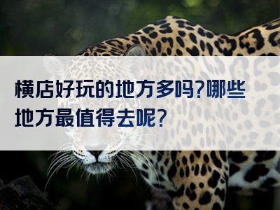 横店好玩的地方多吗？哪些地方最值得去呢？