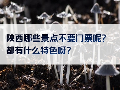 陕西哪些景点不要门票呢？都有什么特色呀？