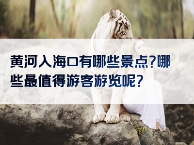 黄河入海口有哪些景点？哪些最值得游客游览呢？