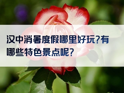 汉中消暑度假哪里好玩？有哪些特色景点呢？