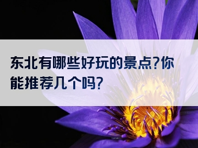 东北有哪些好玩的景点？你能推荐几个吗？