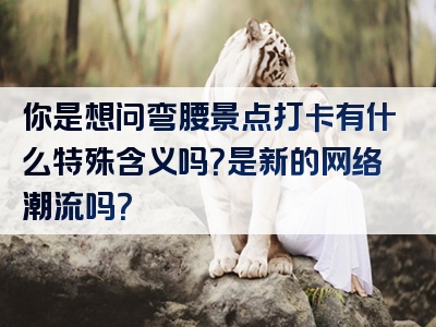 你是想问弯腰景点打卡有什么特殊含义吗？是新的网络潮流吗？