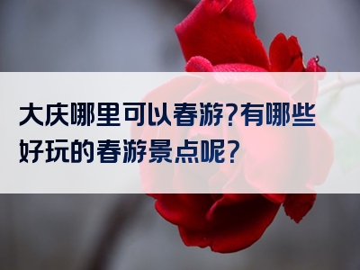 大庆哪里可以春游？有哪些好玩的春游景点呢？