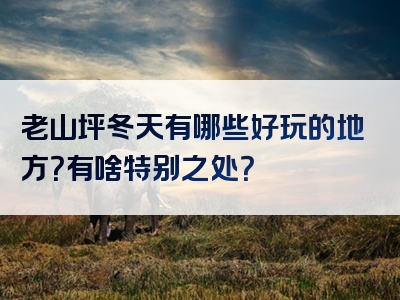 老山坪冬天有哪些好玩的地方？有啥特别之处？