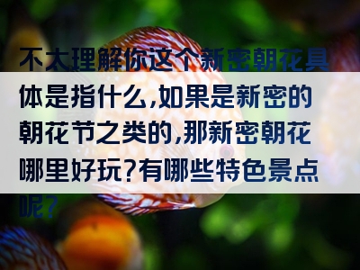 不太理解你这个新密朝花具体是指什么，如果是新密的朝花节之类的，那新密朝花哪里好玩？有哪些特色景点呢？