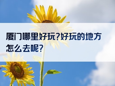 厦门哪里好玩？好玩的地方怎么去呢？