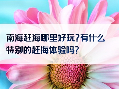 南海赶海哪里好玩？有什么特别的赶海体验吗？