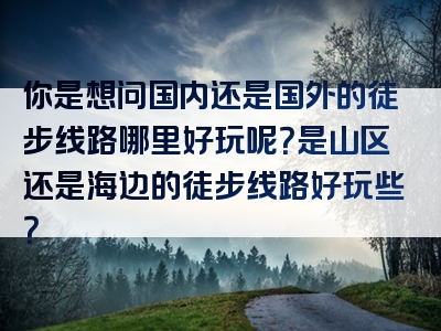 你是想问国内还是国外的徒步线路哪里好玩呢？是山区还是海边的徒步线路好玩些？