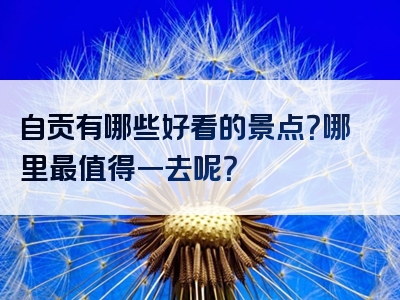 自贡有哪些好看的景点？哪里最值得一去呢？