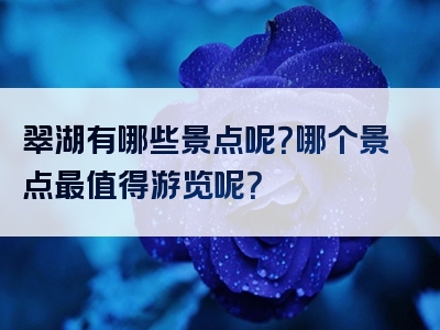 翠湖有哪些景点呢？哪个景点最值得游览呢？