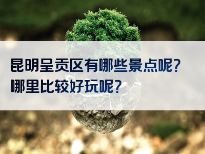 昆明呈贡区有哪些景点呢？哪里比较好玩呢？