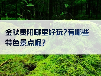 金秋贵阳哪里好玩？有哪些特色景点呢？