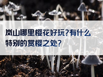 岚山哪里樱花好玩？有什么特别的赏樱之处？