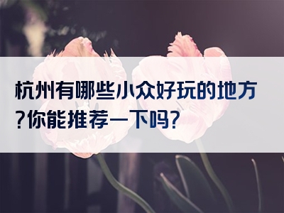 杭州有哪些小众好玩的地方？你能推荐一下吗？