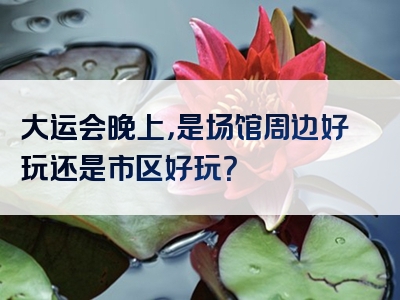 大运会晚上，是场馆周边好玩还是市区好玩？