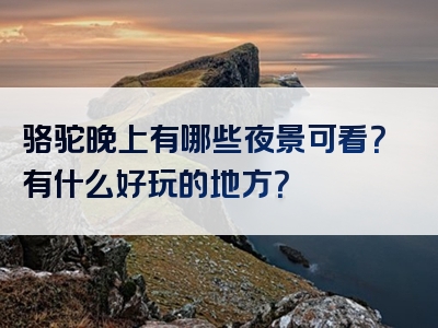 骆驼晚上有哪些夜景可看？有什么好玩的地方？